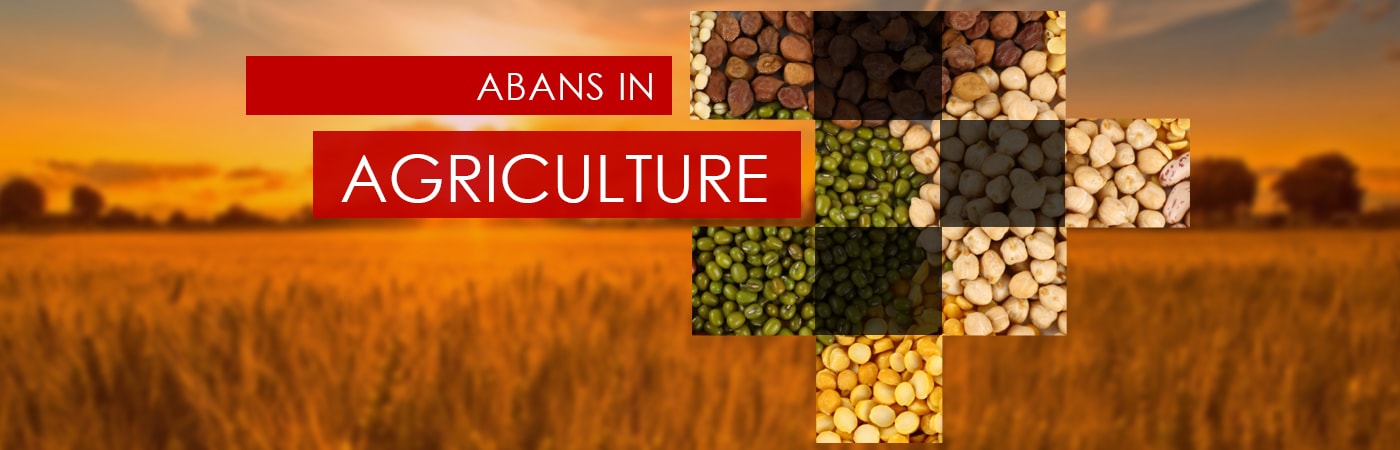 Agricultural Commodities Trading